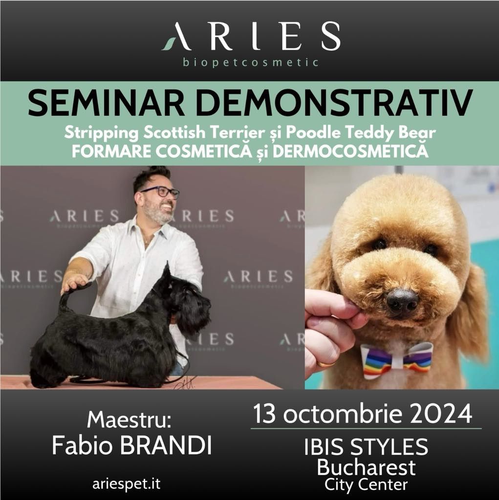 Seminar Fabio Brandi - Stripping & Comercial 