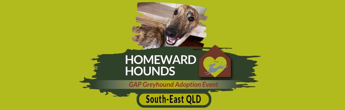 Homeward Hounds Brisbane GAP Greyhound Adoption Event