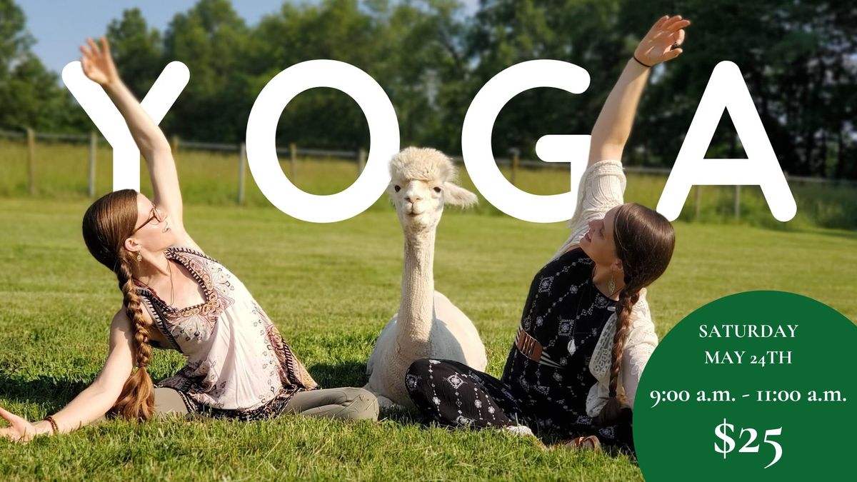 Alpaca Yoga