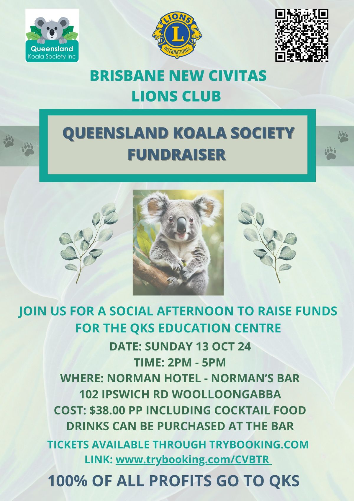 QLD Koala Society Fundraiser