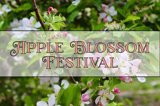 Apple Blossom Festival At The Shop Oak Glen Rd Yucaipa Ca 9314 United States 17 April To 18 April