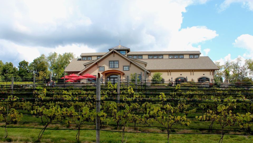 Savvy Seniors: Labelle Winery Visit