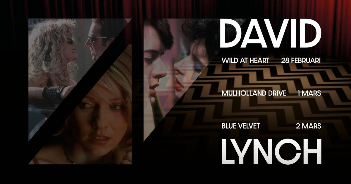 IN LOVING MEMORY OF DAVID LYNCH