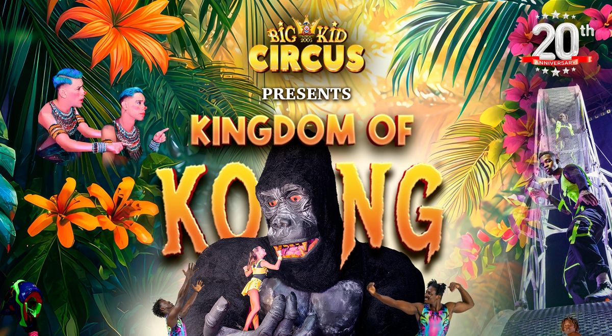 Big Kid Circus Paisley