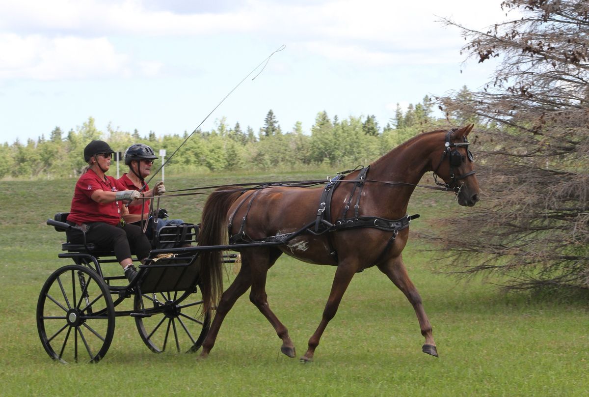 Spruce Woods Fun Drive