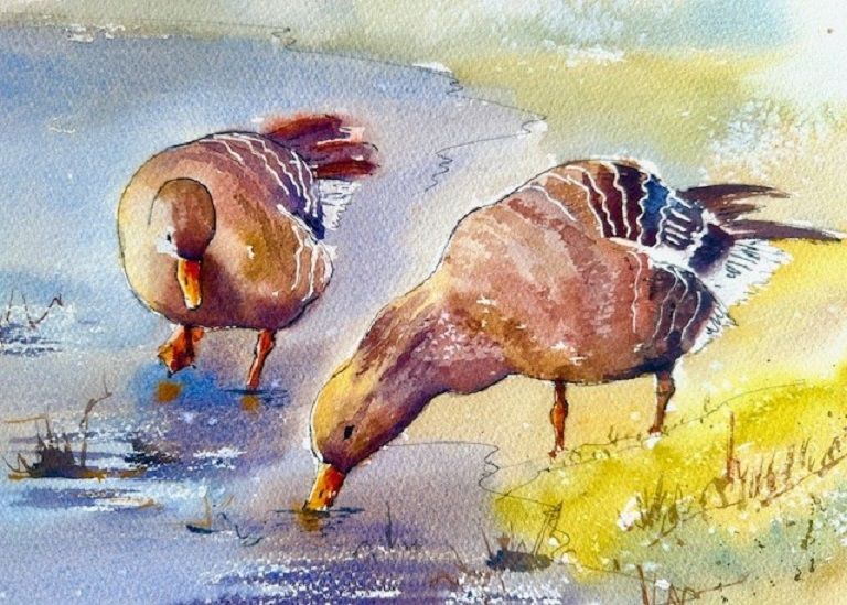 Watercolour Painting Workshop, at RSPB Frampton