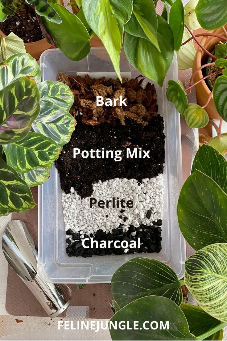 Potting Party - Let GROW Help You Repot Your Plants! 