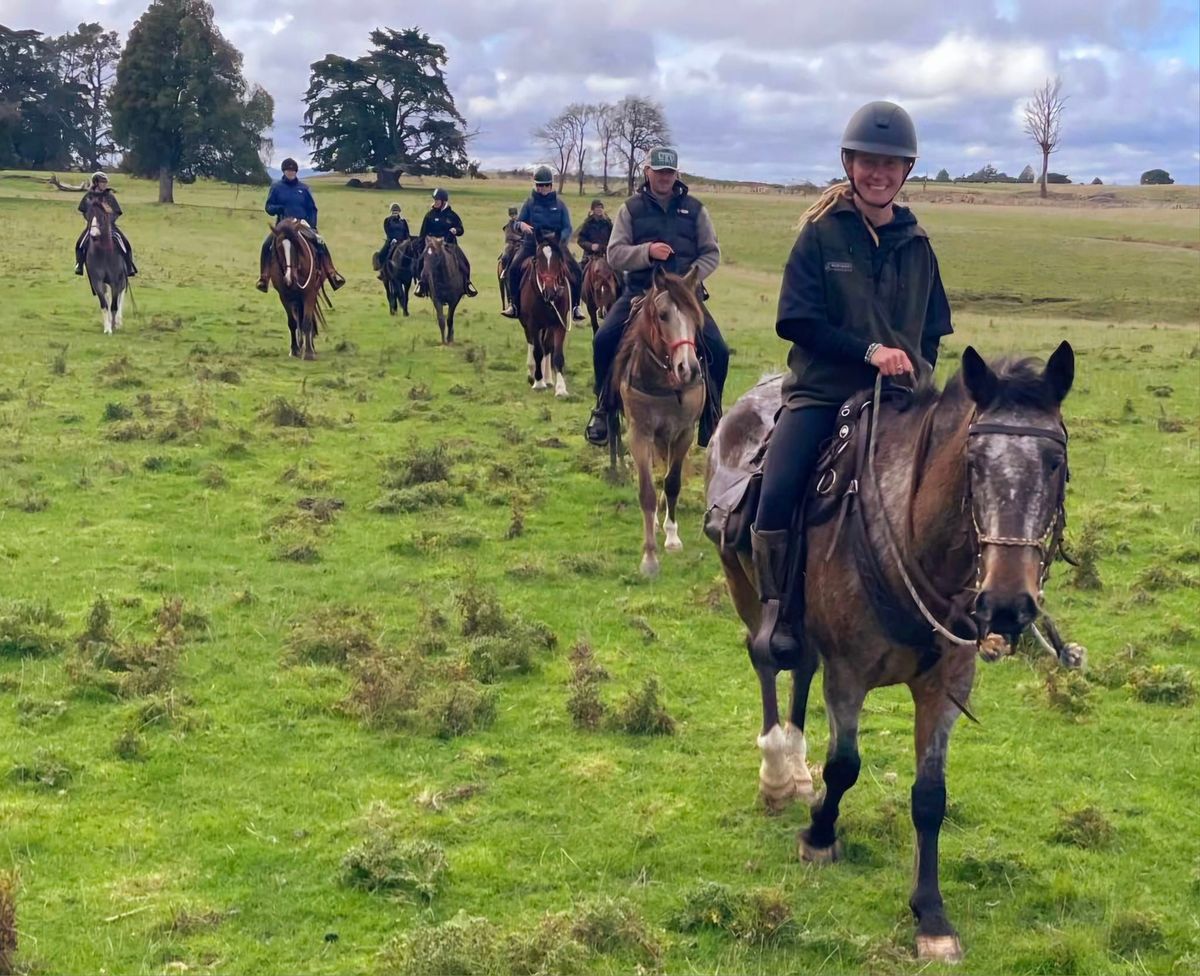 Adult Horse Riding Camp