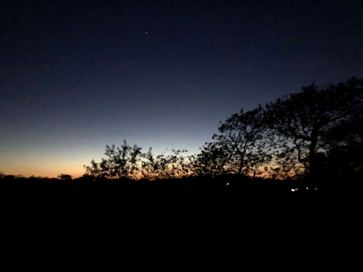 Montauk Owl Hike (Camp Hero): $4.00 per person on arrival