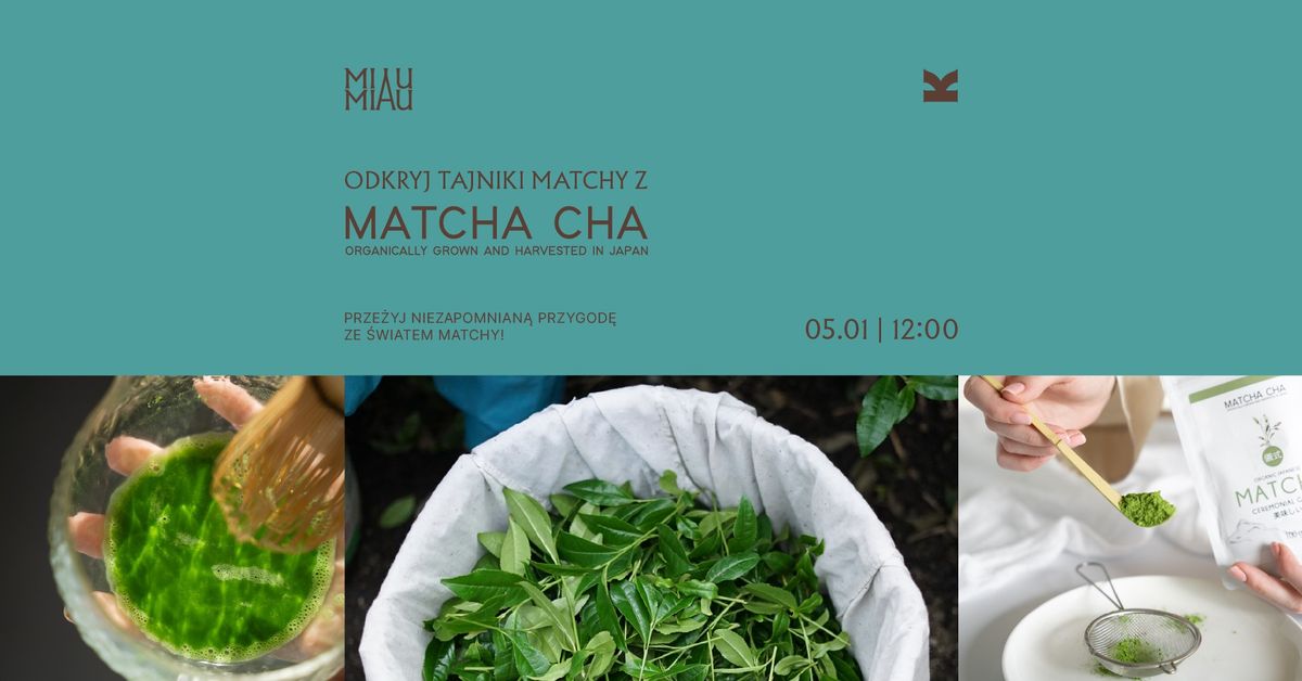 Warsztaty | Matcha Cha x Miau Miau