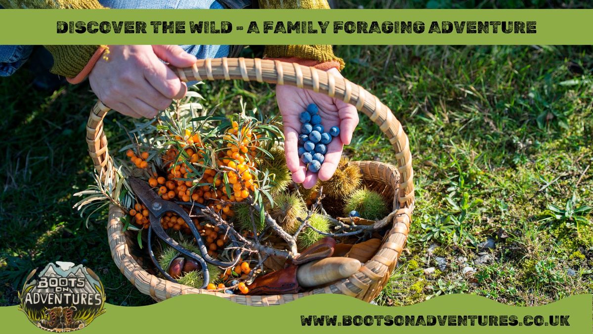 Family Foraging Adventure - Discover The Wild