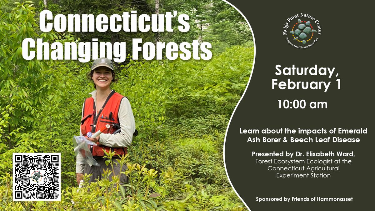 Connecticut\u2019s  Changing Forests