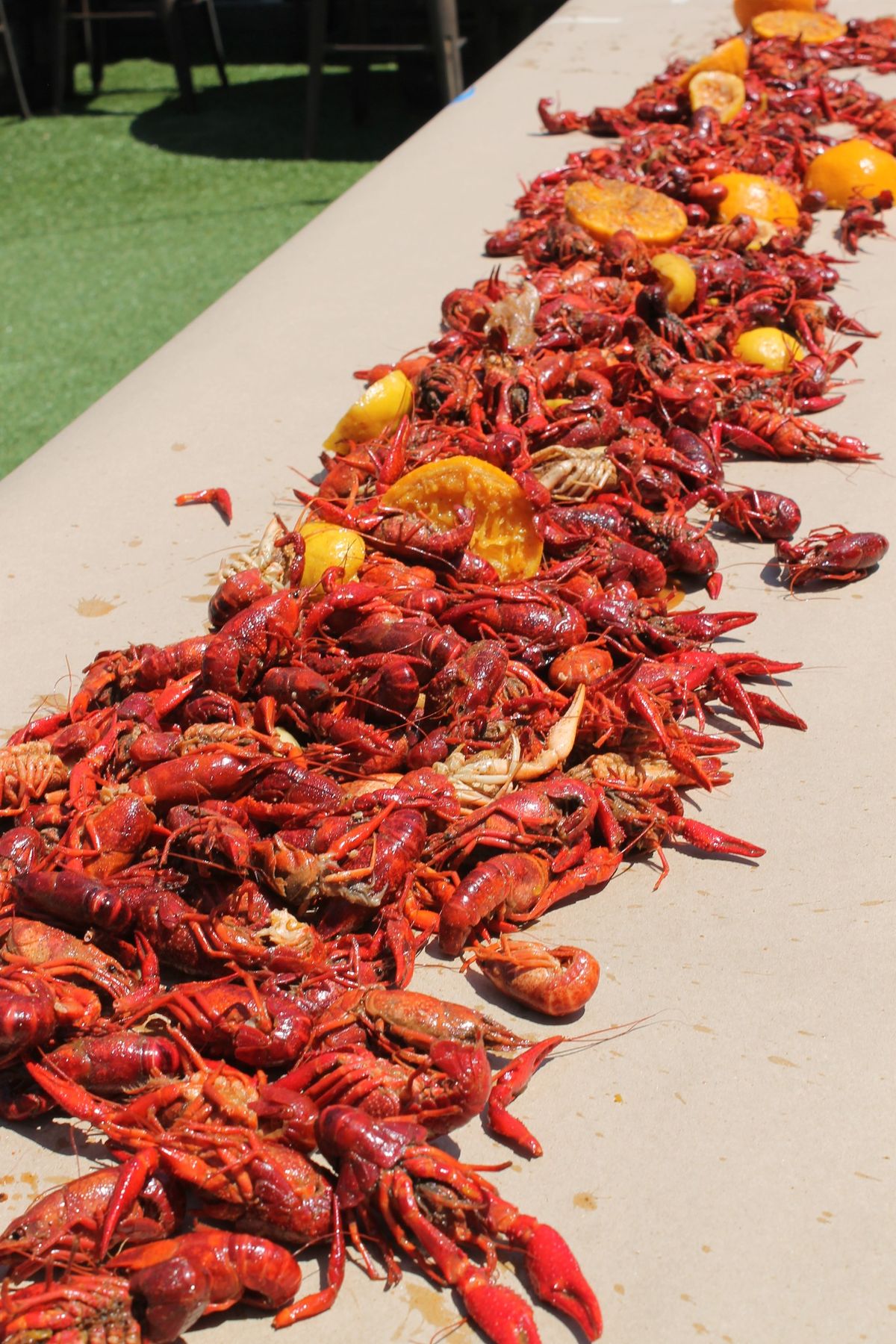 5th Annual Crawfish Boil - All You Can Eat and Drink