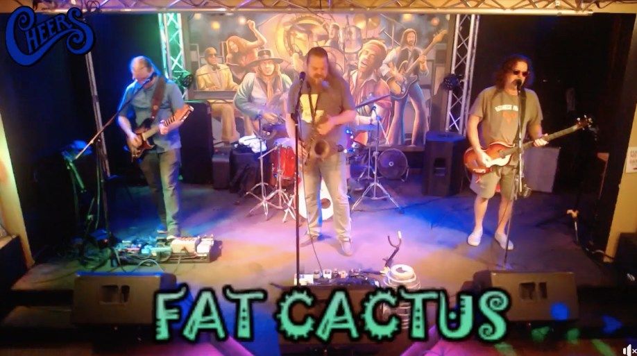 FAT CACTUS 