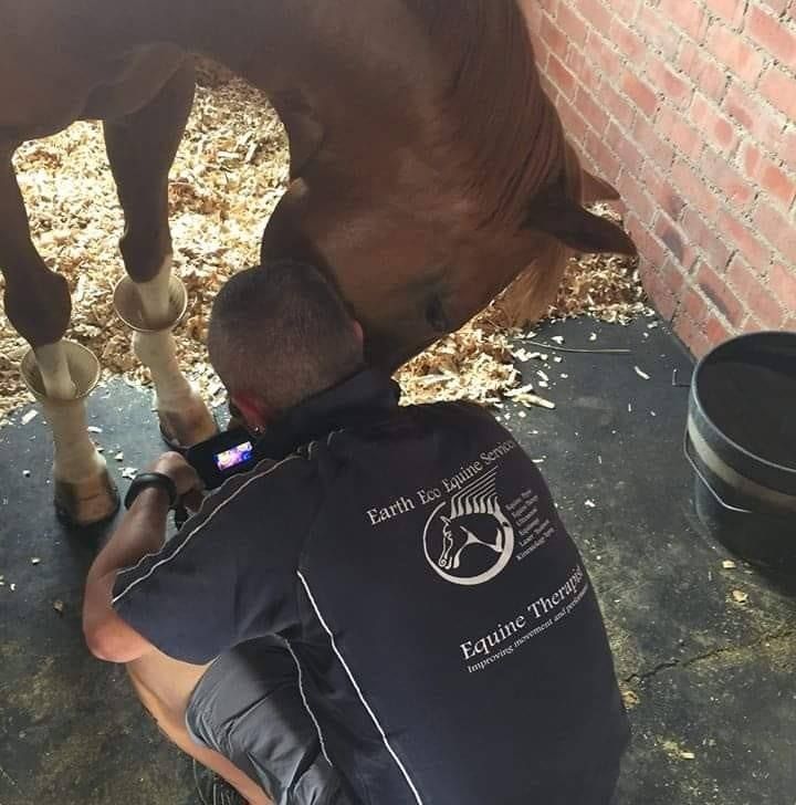 A Practical Tension Release and Stretch Out Workshop for Sport Horses presented by Rob Holder.