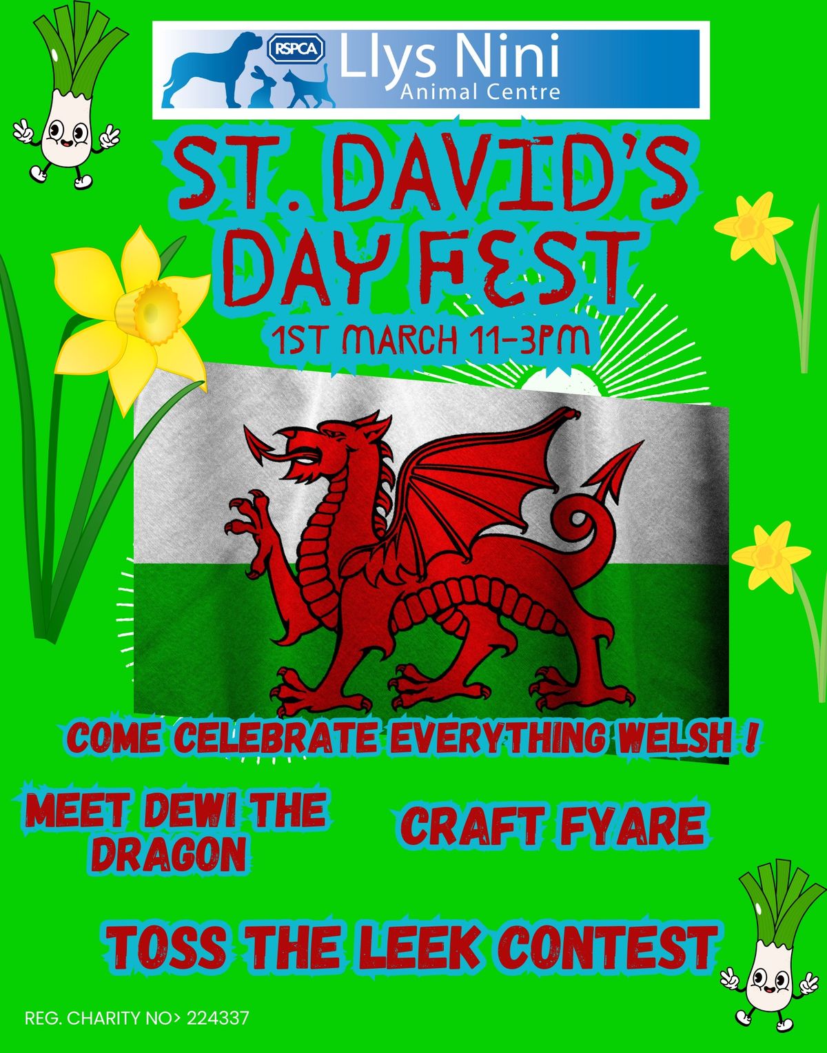 St.David's Day Festival