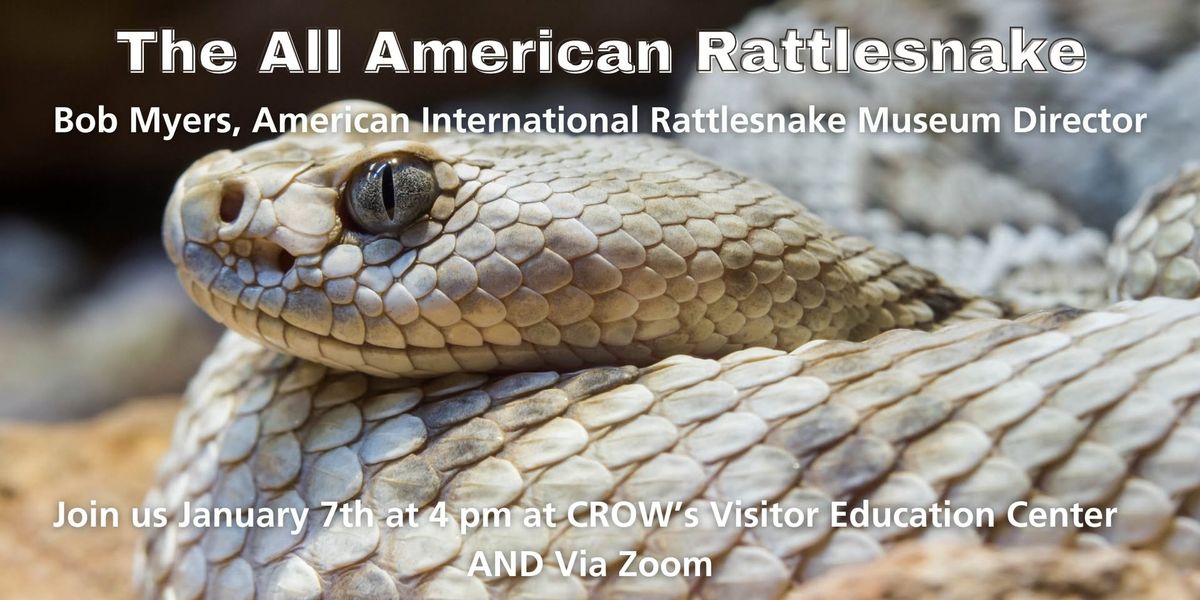 Speaker Series: The All American Rattlesnake 