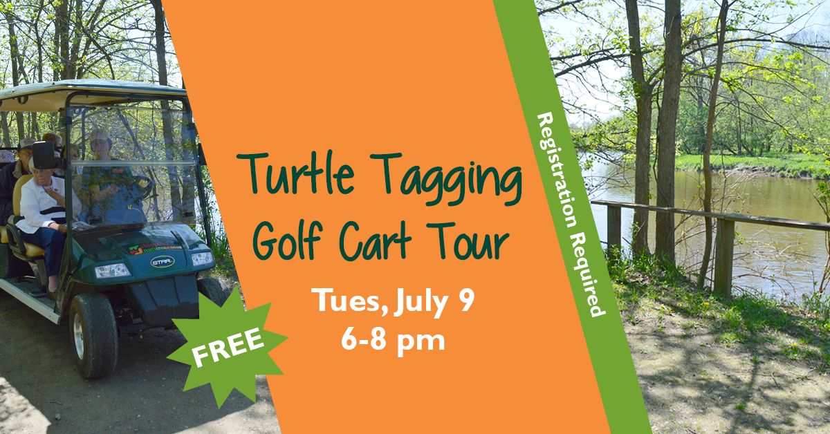 Turtle Tagging Golf Cart Tour