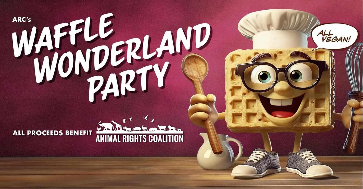 Waffle Wonderland Party