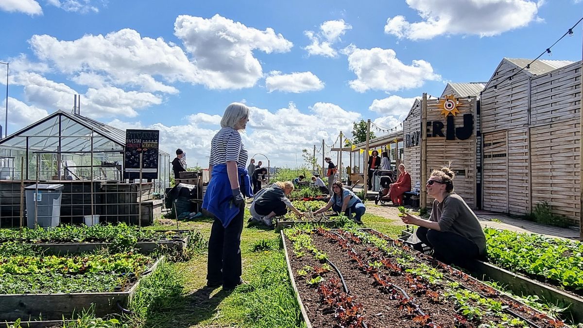 Tuinieren in De MoestuinderIJ