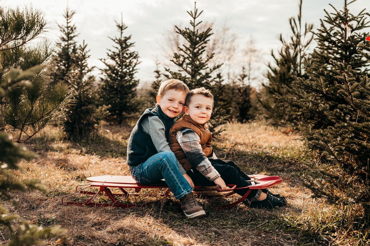 2024 Christmas Tree Farm Mini Sessions