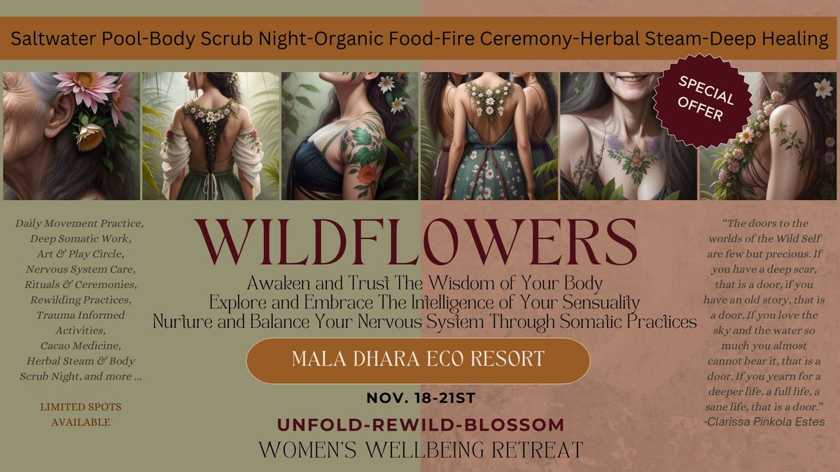 WILDFLOWERS - Women's Wisdom & Wellbeing Retreat