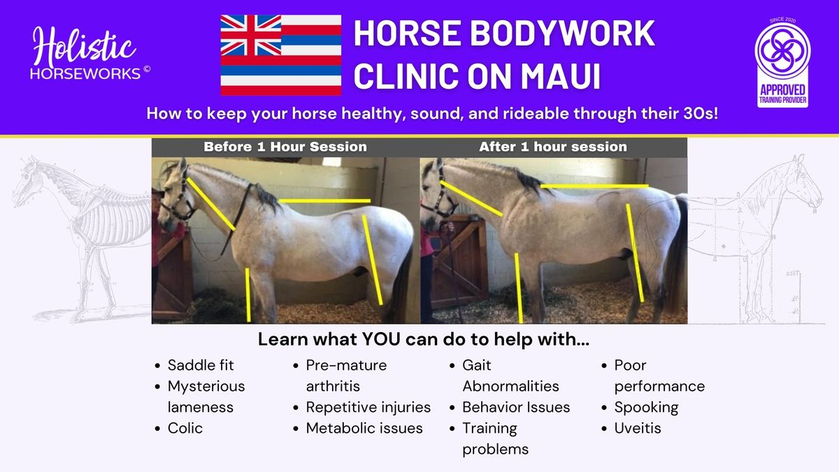 Learn how to keep your horse healthy sound and rideable thru their 30's hands on small private class