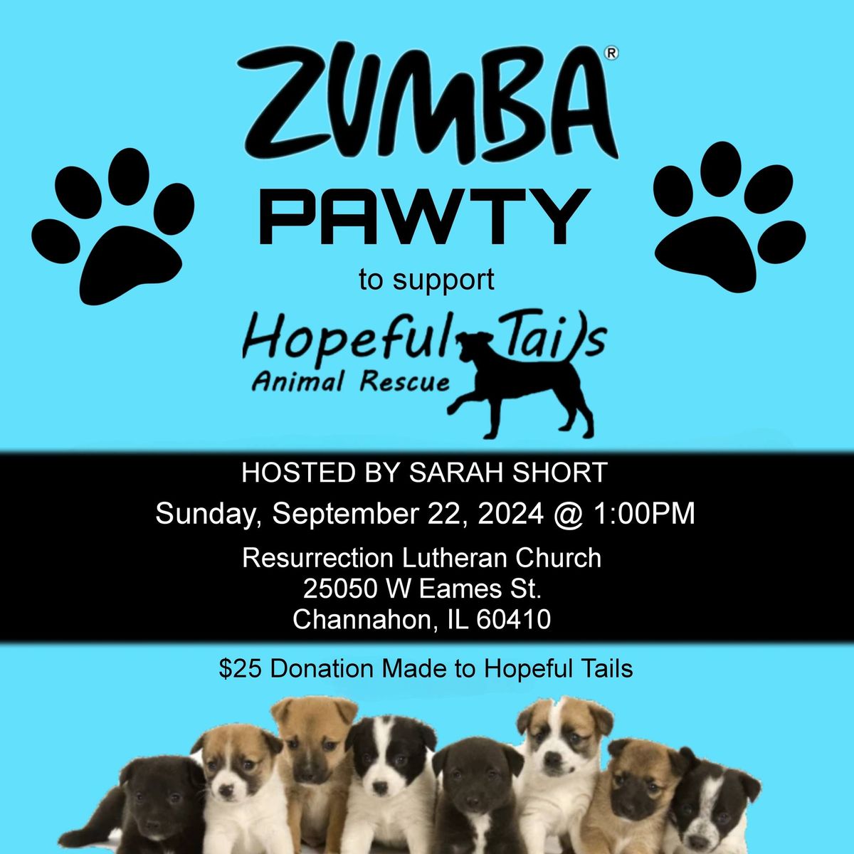 Zumba Pawty