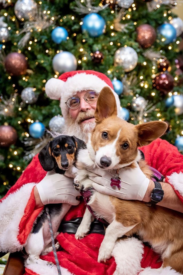 Santa Paws: SAVE the Date!