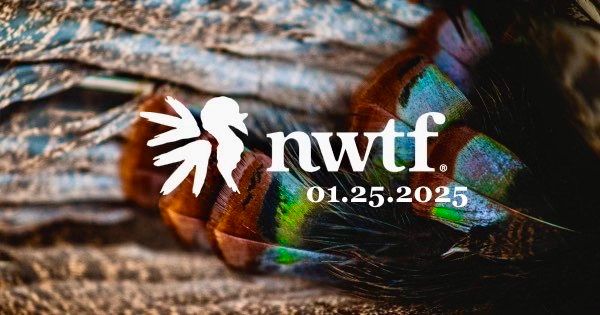 Ft. Myers NWTF Heritage Banquet 