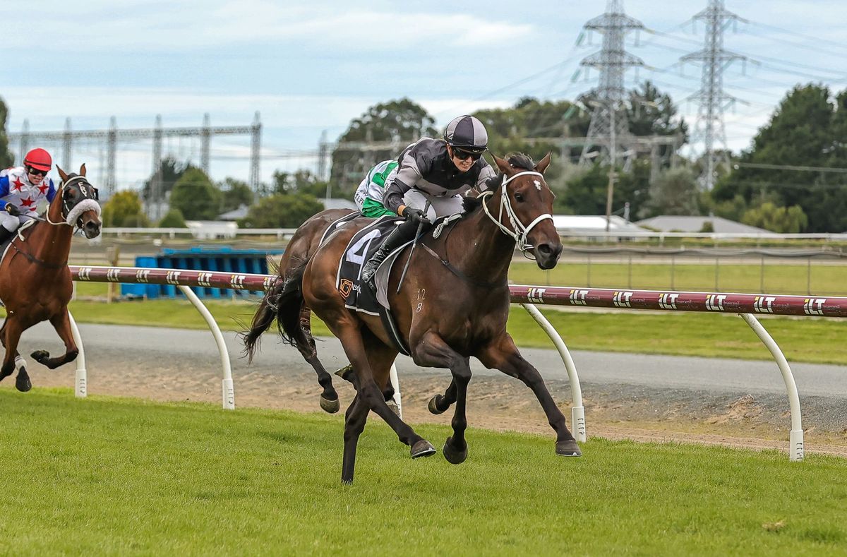 Baillie and Lewis Invercargill Gold Cup Day