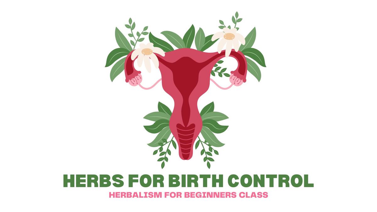 Herbalism For Beginners: Herbs For Birth Control