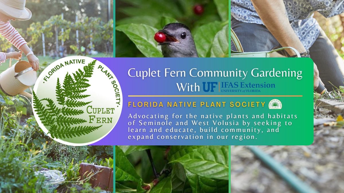 Cuplet Fern Community Gardening: Seminole IFAS Florida Friendly Landscape