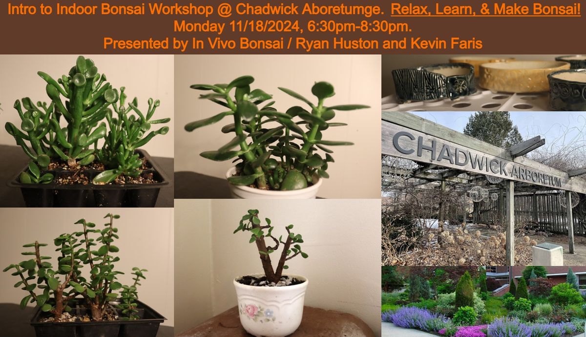 Intro to Indoor Bonsai Workshop at Chadwick Arboretum