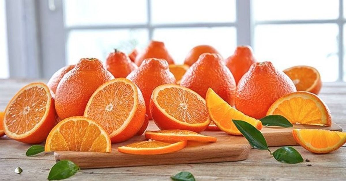 Florida Citrus Sales Event - Maryville, TN