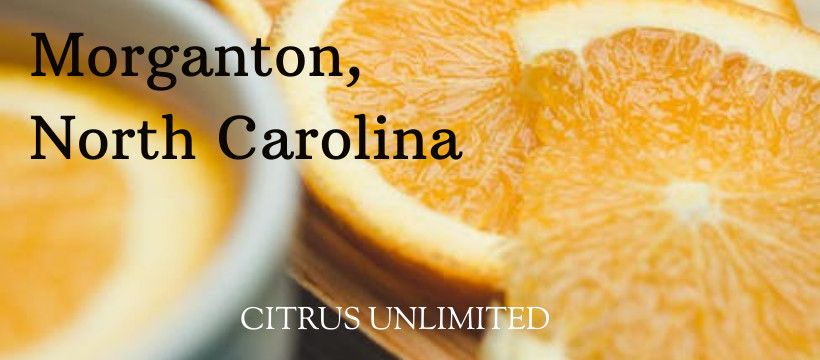 Citrus Sale - Morganton, NC from 10:00 am - 11:00 pm at the Elks Lodge 