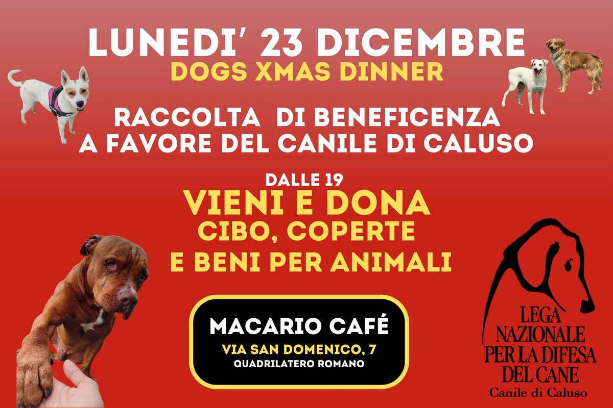 DOGS XMAS BENEFIT @ MACARIO Caf\u00e8- Raccolta di beneficenza x il Canile di Caluso