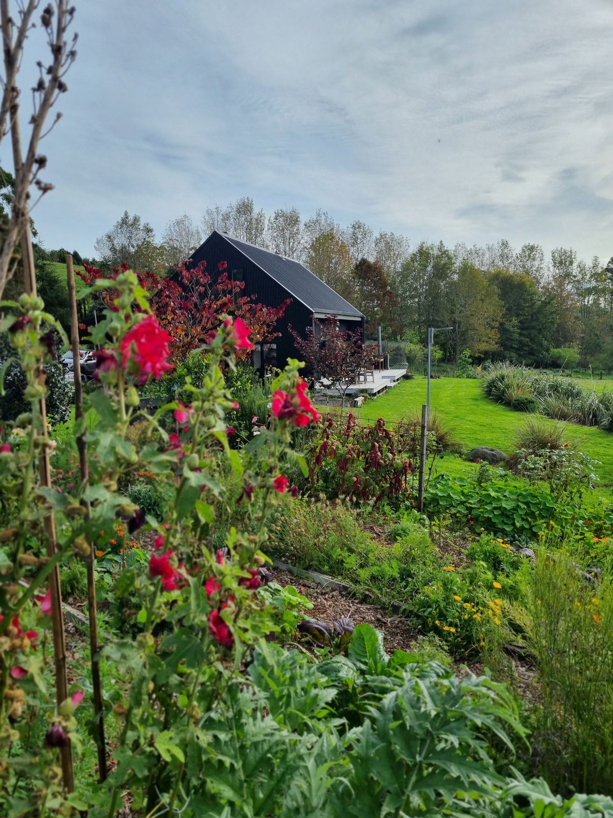 Edible Gardening on the Home Block