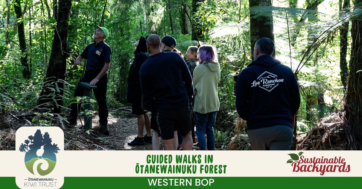 Guided Walks in \u014ctanewainuku Forest 