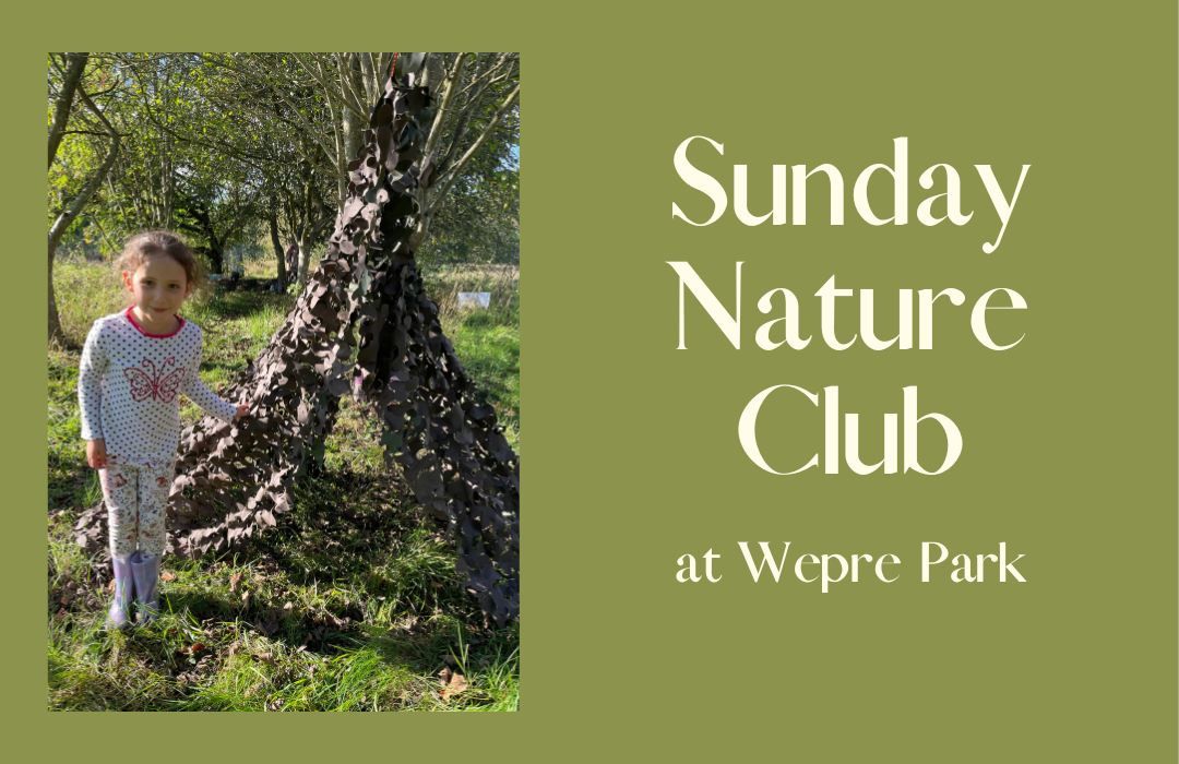 Sunday Nature Club - August