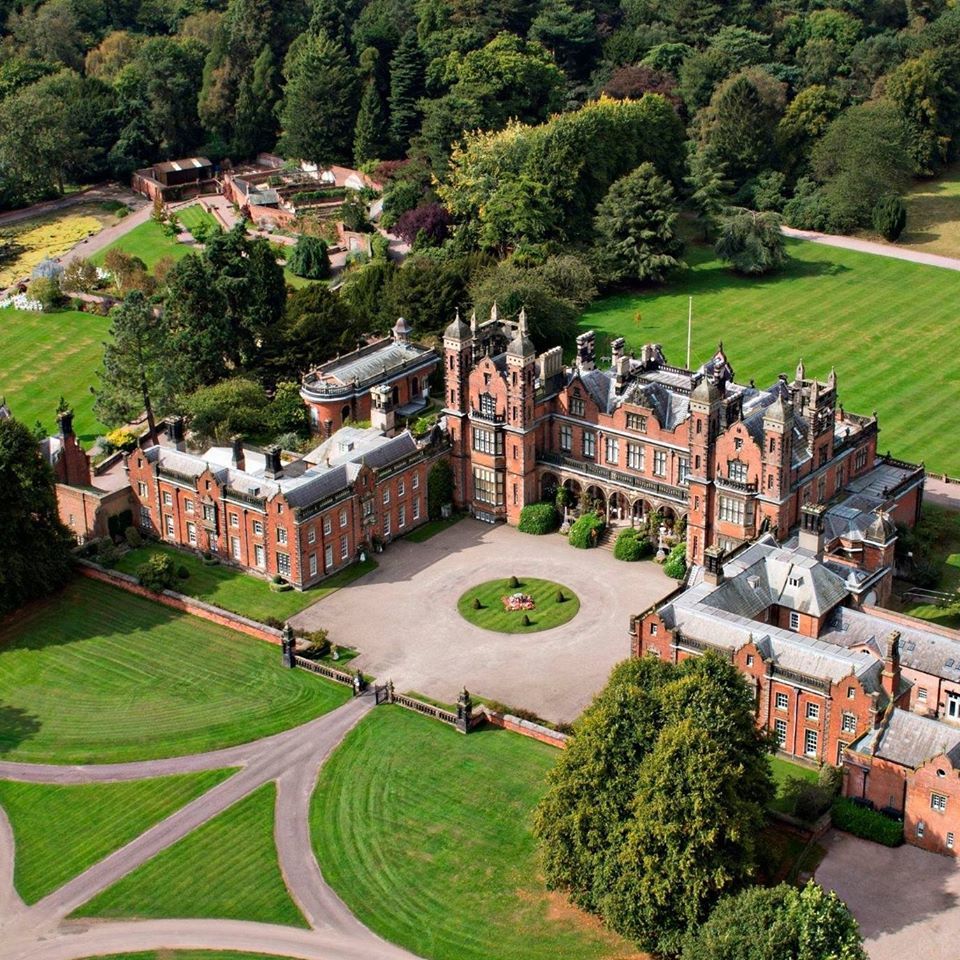 Tree Climbing at Capesthorne Hall Sunday 13th October 2024