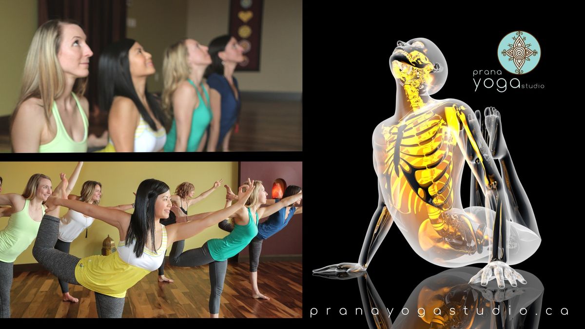 Advanced Anatomy Yoga Training