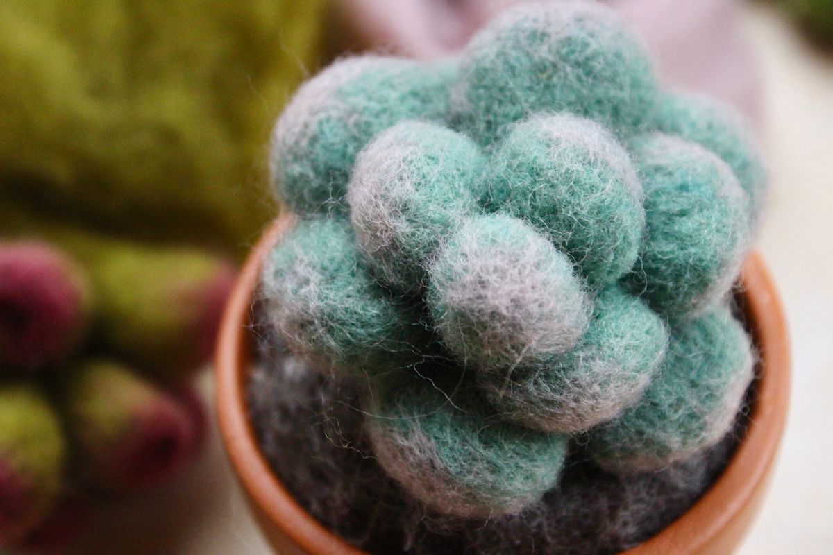 Needle Felted Spring Succulents with The Pale Rook