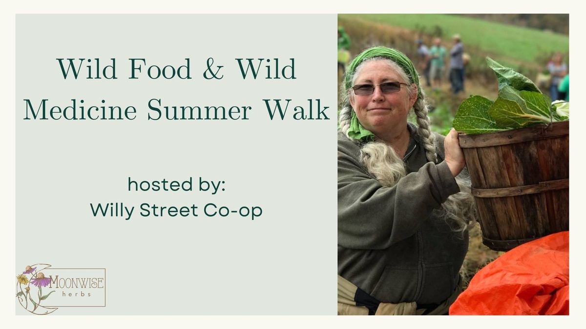 Wild Food & Wild Medicine Summer Walk