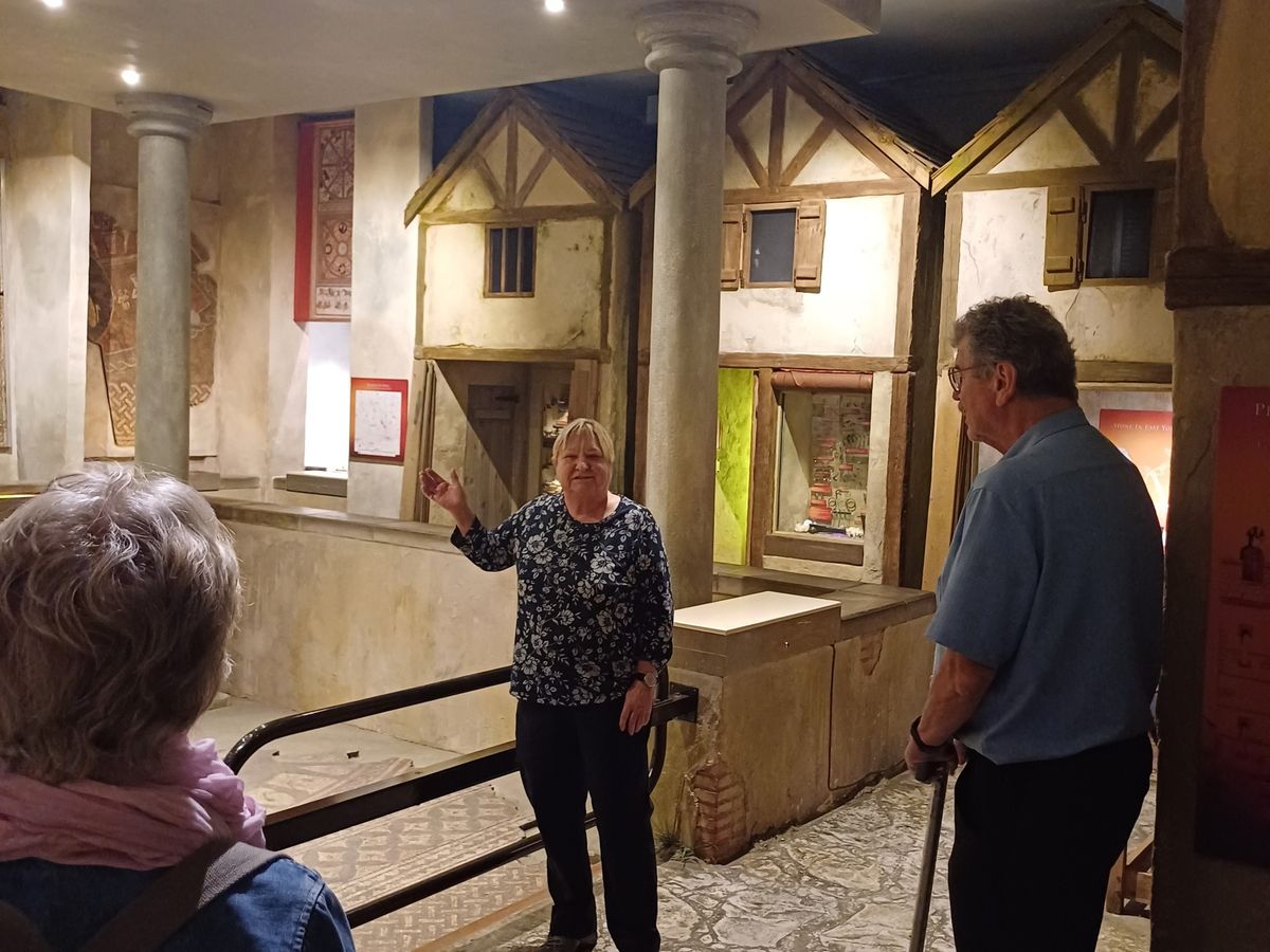 Guided Tour of Hull and East Riding Museum of Archaeology