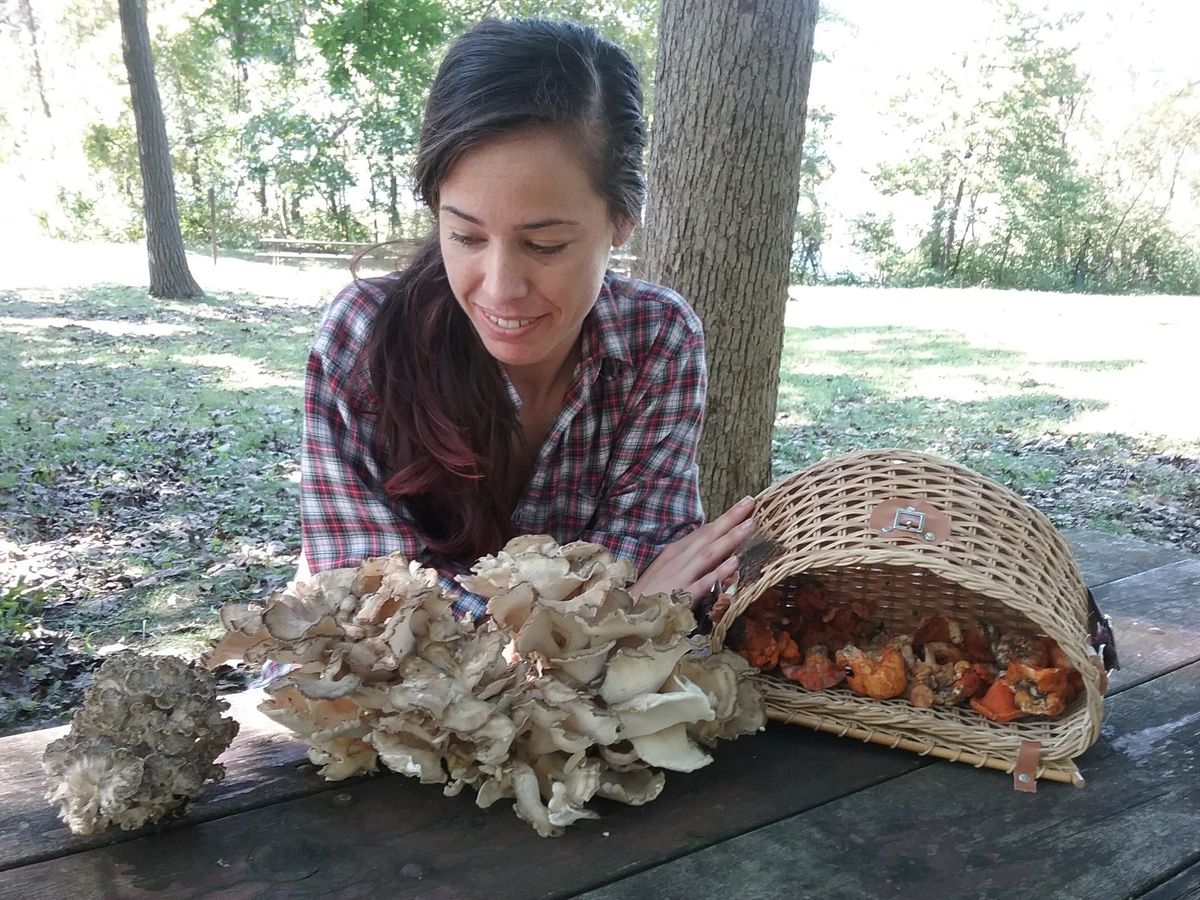 Forest to Farm: Cultivating Wild Mushrooms || with Andi Reisdorf (n\u00e9e Bruce)