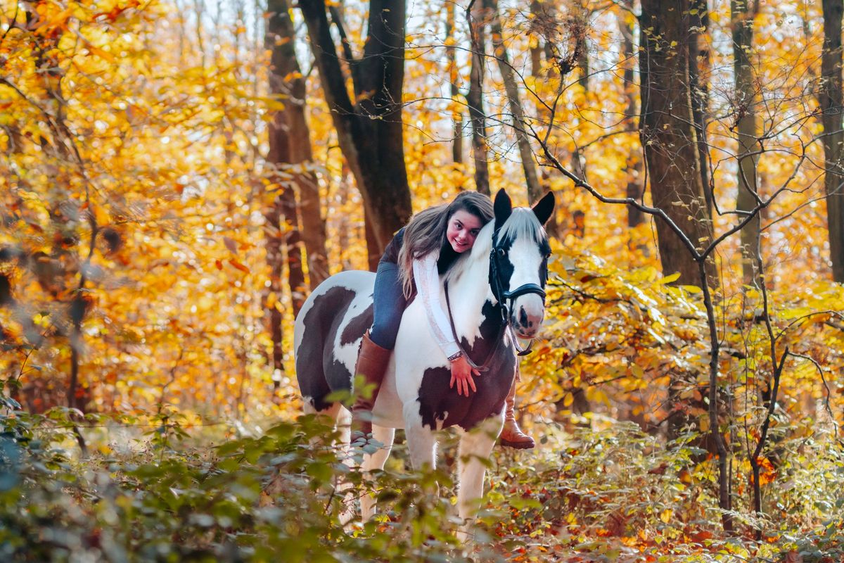 Equine Autumn Woodland Photoshoot 2024