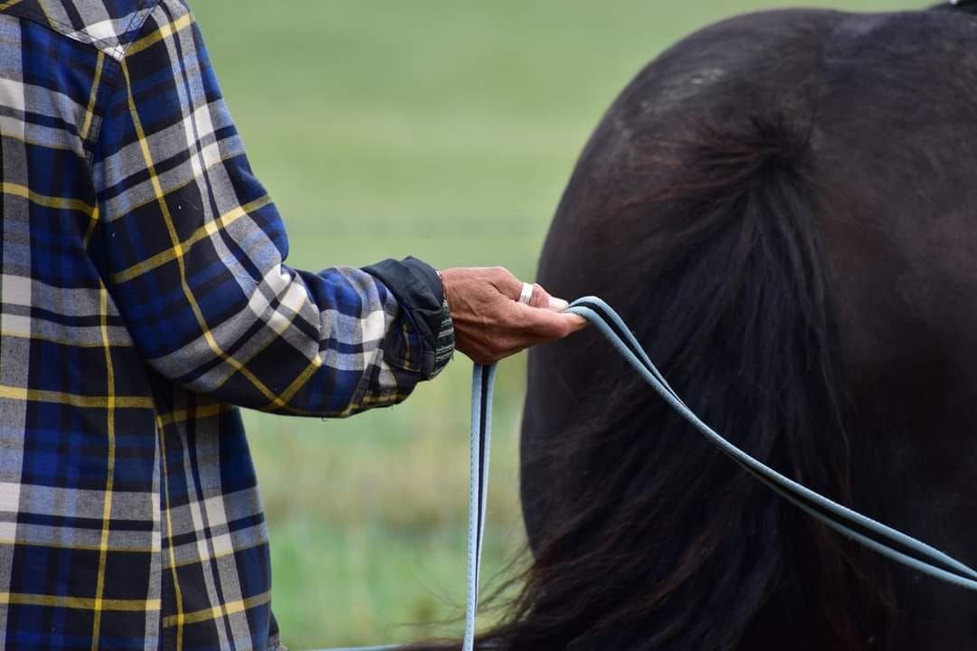 Groundwork Clinic w\/ Rosca Horsemanship at Stubley Hollow Farm, Derbyshire