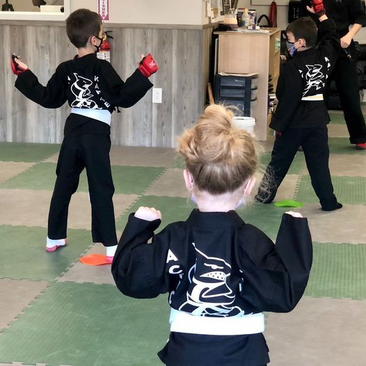 Beginner Kids Karate Class- Only $10!!