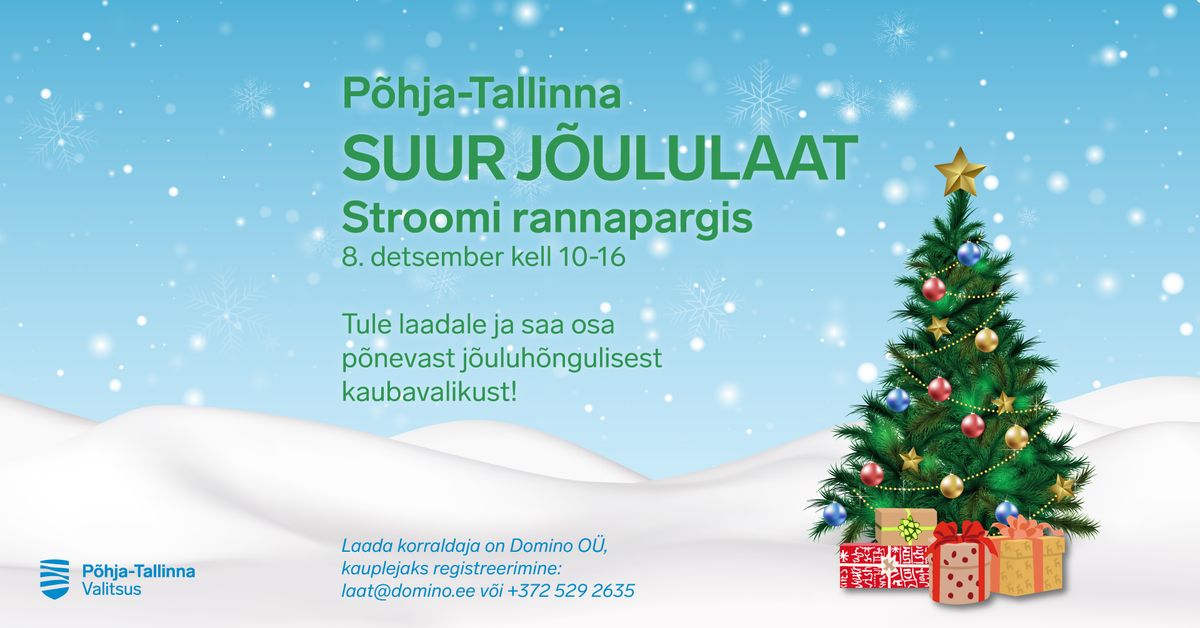 P\u00f5hja-Tallinna Suur J\u00f5ululaat Stroomi rannapargis 2024